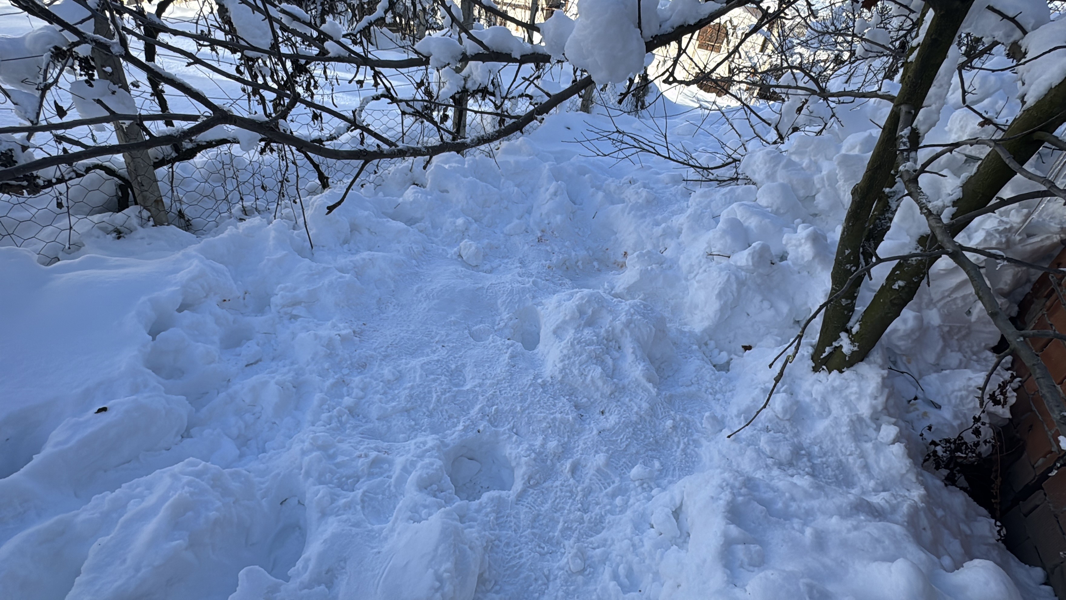 80 Y A Ş I N D A K İ K A D I N Ö L Ü B U L U N D U23