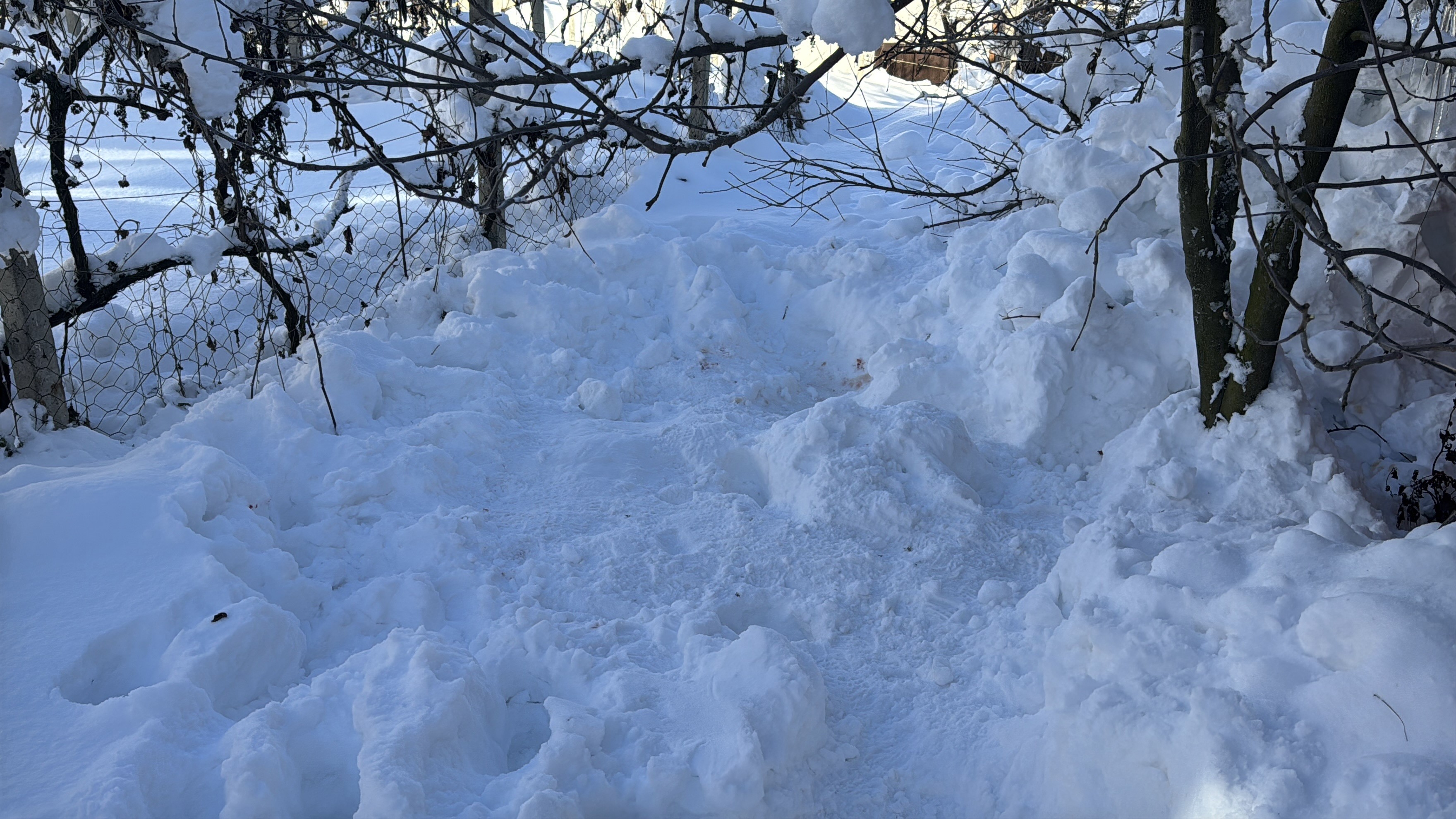 80 Y A Ş I N D A K İ K A D I N Ö L Ü B U L U N D U24