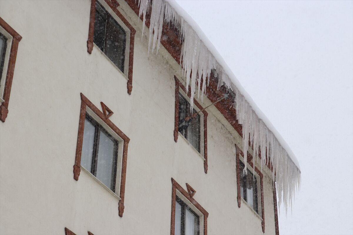 A A 20260101 40137737 40137734 A G R I D A U Z E R I N E B U Z S A R K I T I D U S E N K I S I Y A R A L A N D I