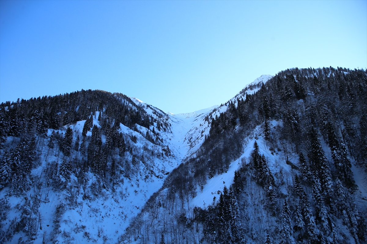 A A 20260104 40155725 40155723 K A C K A R D A G L A R I N D A H E L I S K I H E Y E C A N I B A S L A D I