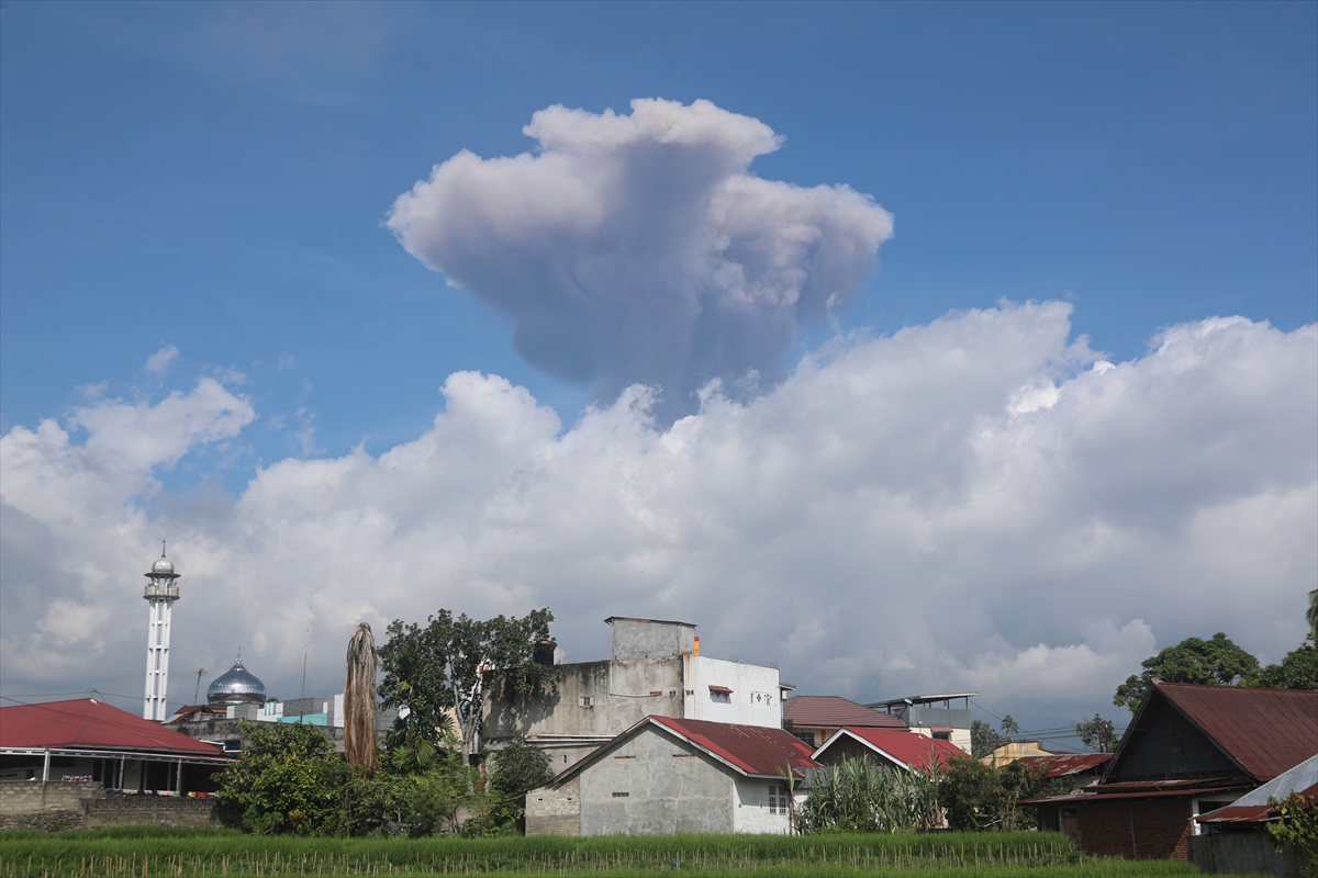 A A 20260114 40246934 40246927 E N D O N E Z Y A D A K I M A R A P I Y A N A R D A G I Y E N I D E N K U L P U S K U R T T U[1]