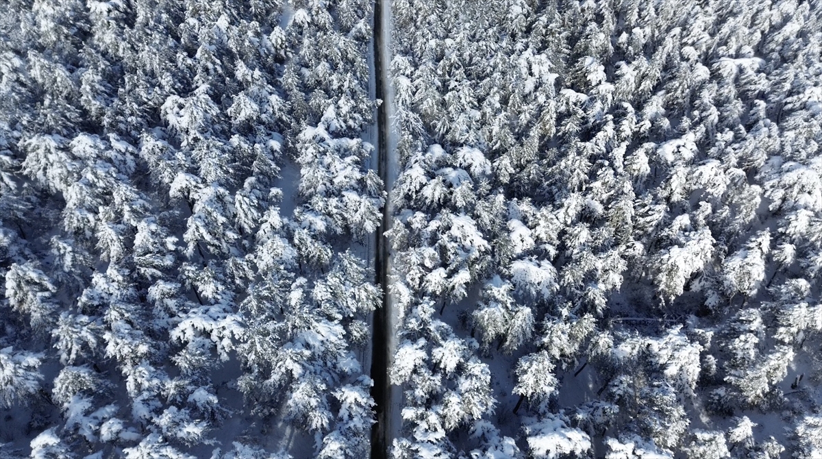 Yozgat Çamlık Milli Parkı ve Akdağmadeni ormanlarında kartpostallar aratmayan mazaralar