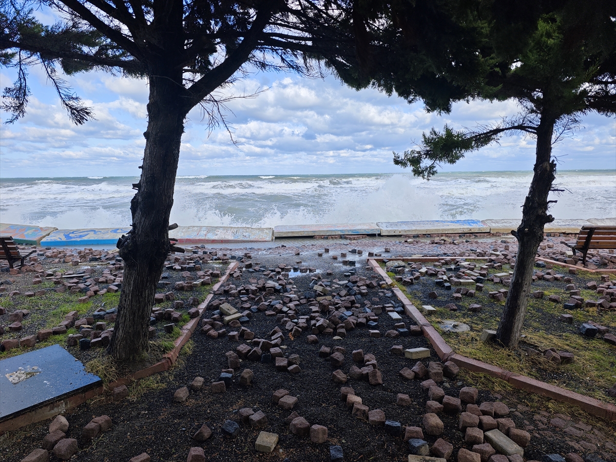 A A 20260120 40312703 40312696 S A M S U N D A D A L G A L A R S A H I L S E R I D I N E Z A R A R V E R D I