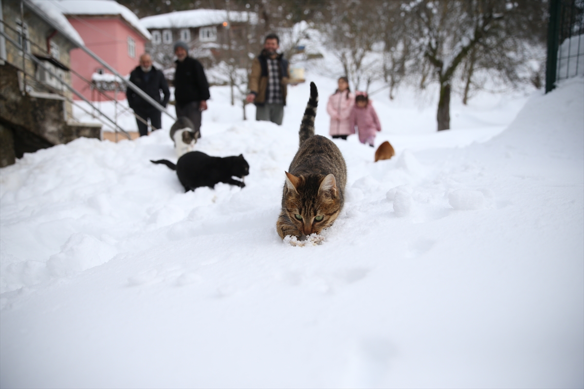 A A 20260123 40342431 40342415 K A S T A M O N U D A K A R N E D E N I Y L E Y I Y E C E K B U L A M A Y A N K E D I L E R I K O Y I M A M I B E S L I Y O R