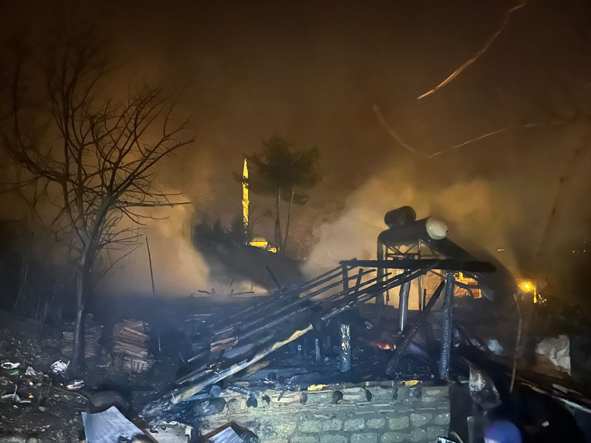 A A 20260123 40350088 40350085 T O K A T T A C I K A N Y A N G I N D A T E K K A T L I E V K U L L A N I L M A Z H A L E G E L D I