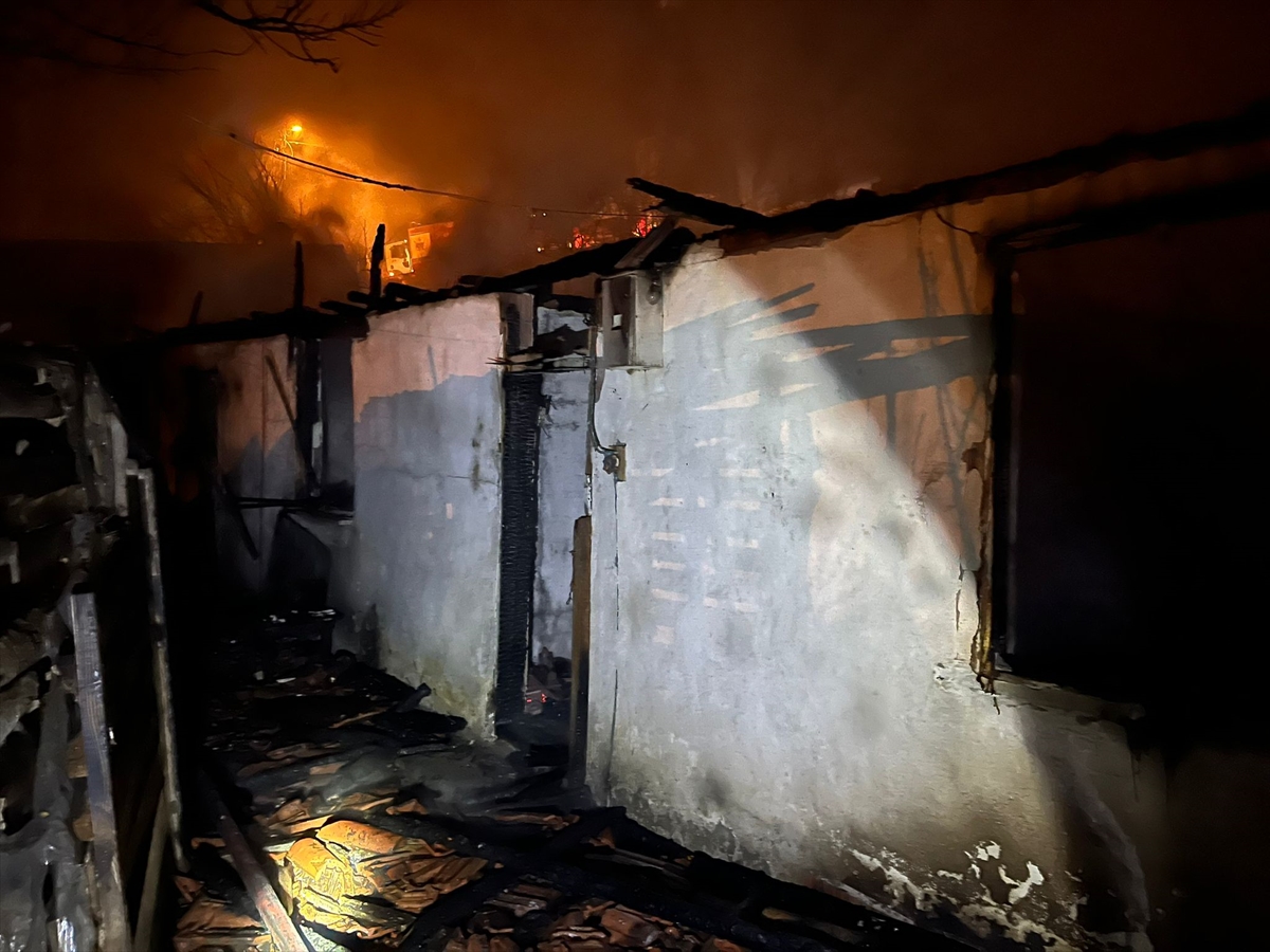 A A 20260123 40350088 40350086 T O K A T T A C I K A N Y A N G I N D A T E K K A T L I E V K U L L A N I L M A Z H A L E G E L D I