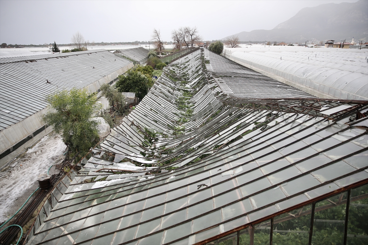 A A 20260127 40380342 40380322 M U G L A D A H O R T U M U N Z A R A R V E R D I G I S E R A L A R D A H A S A R T E S P I T C A L I S M A L A R I B A S L A D I