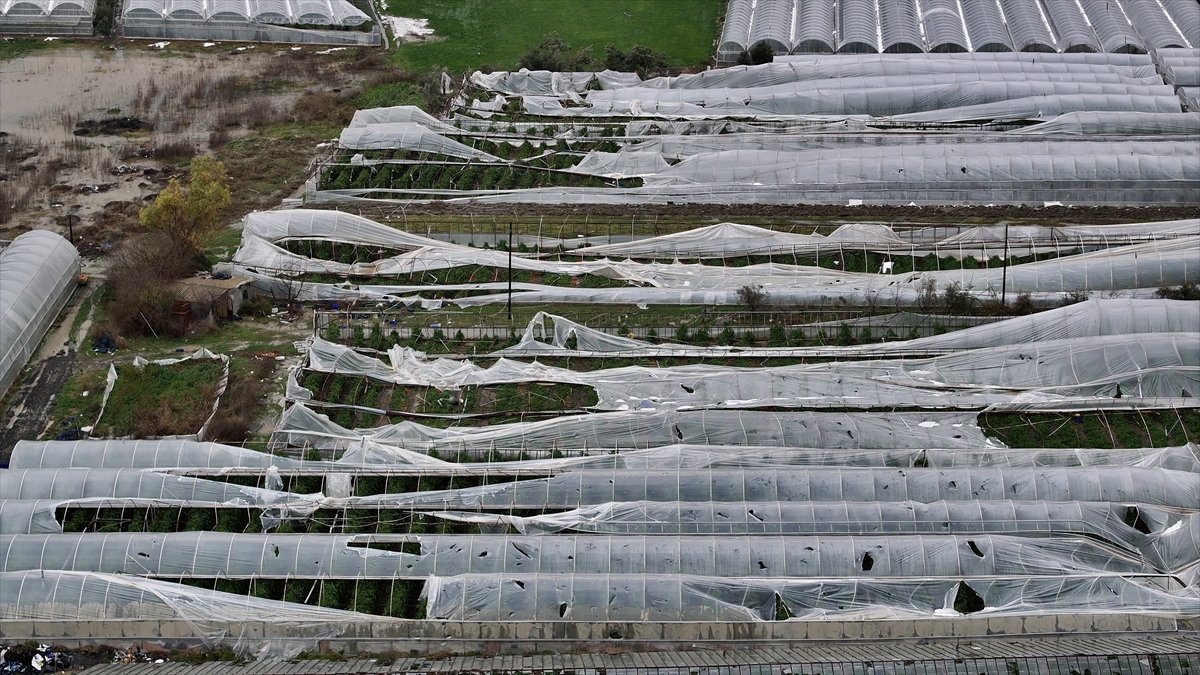 A A 20260127 40380342 40380333 M U G L A D A H O R T U M U N Z A R A R V E R D I G I S E R A L A R D A H A S A R T E S P I T C A L I S M A L A R I B A S L A D I