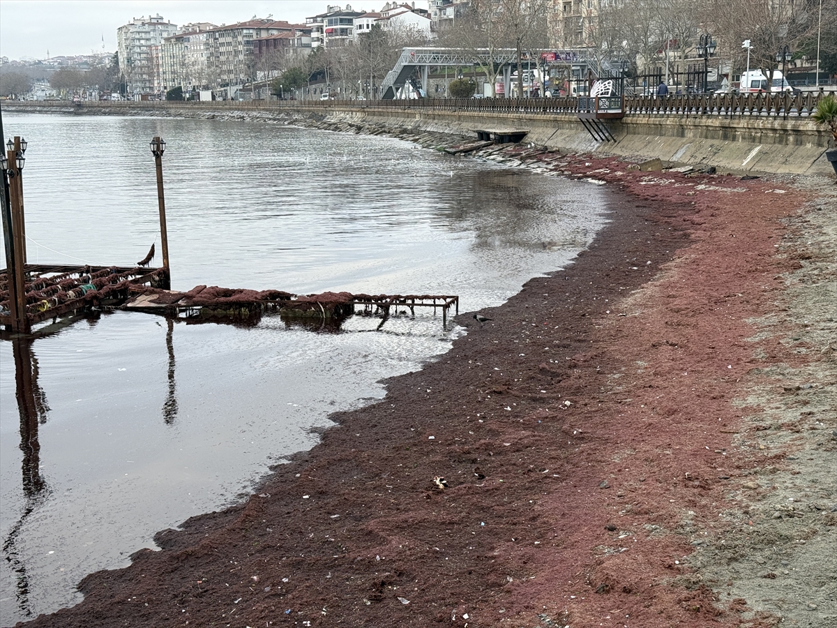 A A 20260128 40386622 40386619 T E K I R D A G D A L O D O S N E D E N I Y L E S A H I L I N B I R K I S M I K I R M I Z I Y O S U N L A K A P L A N D I