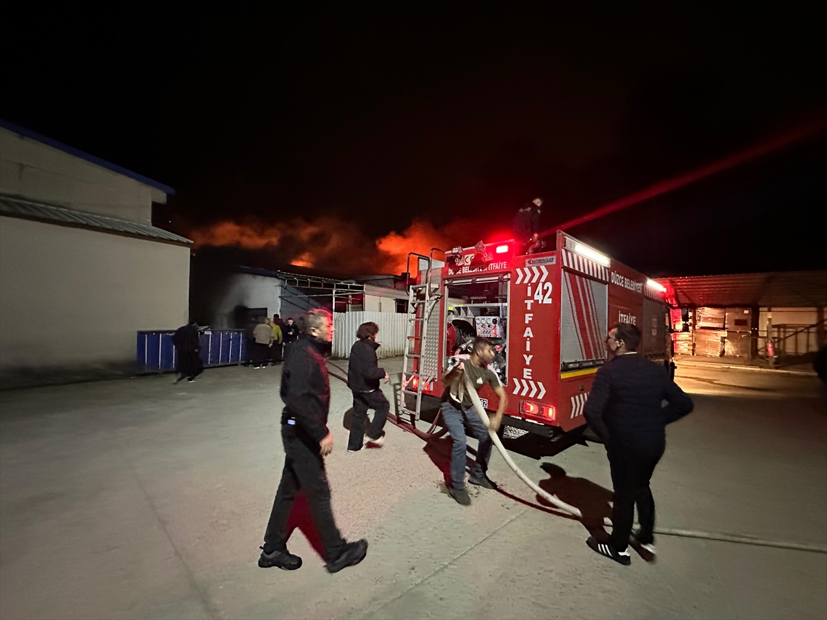 A A 20260129 40404548 40404547 D U Z C E D E S T R A F O R F A B R I K A S I N D A C I K A N Y A N G I N A M U D A H A L E E D I L I Y O R