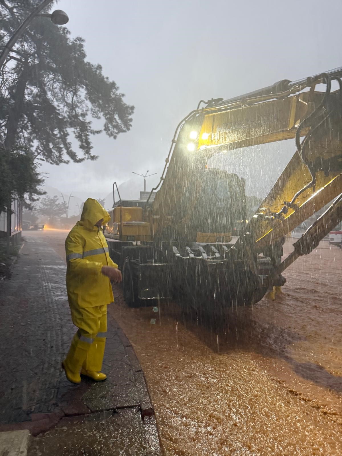 A N T A L Y A K E M E R S U B A S K I N I29