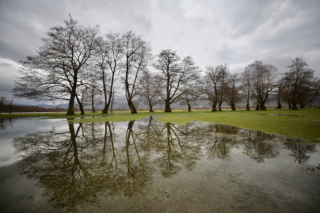 Açık Alan Sigara Yasağı