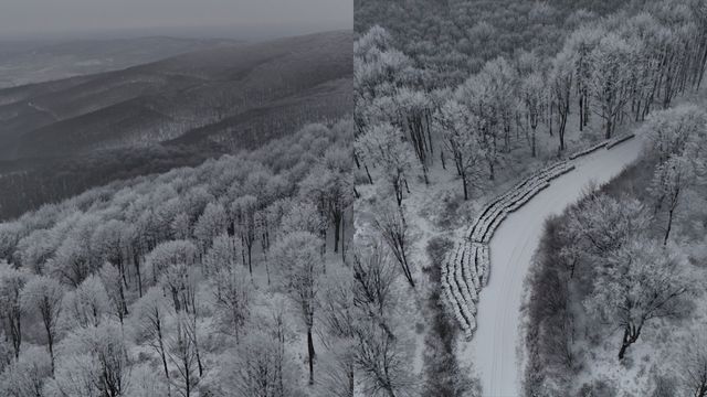 Istranca Ormanları görsel şölen oluşturuyor