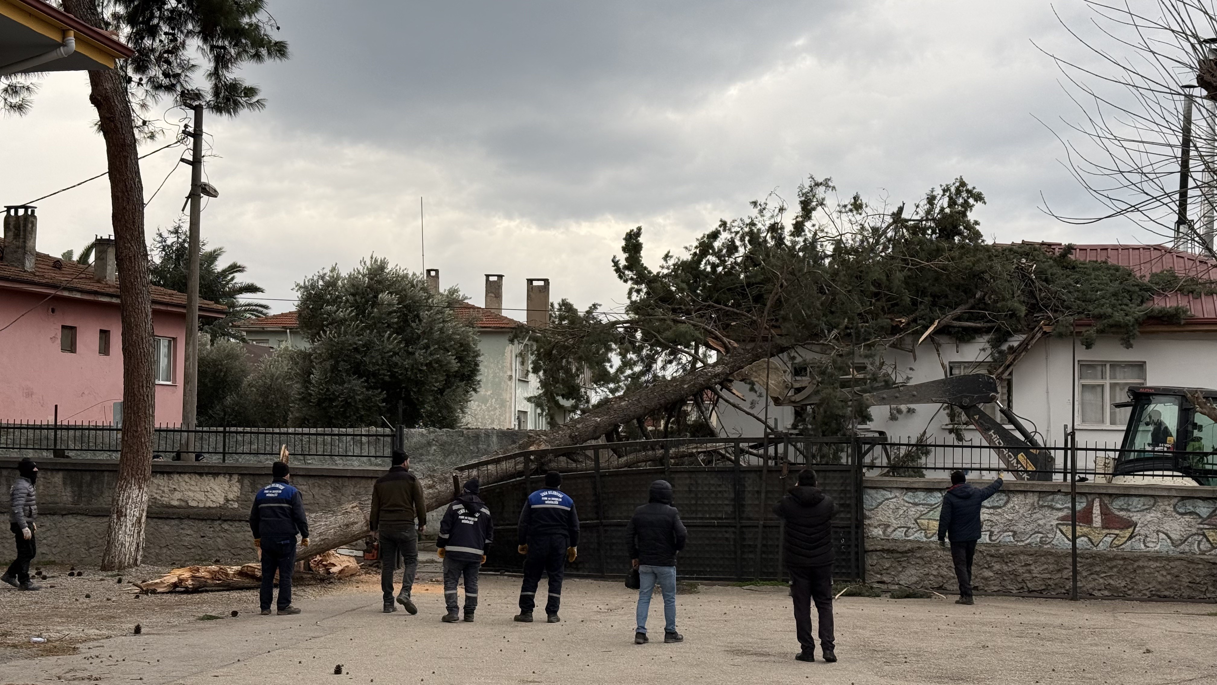 Ağaçdevri̇ldi̇6565 (6)