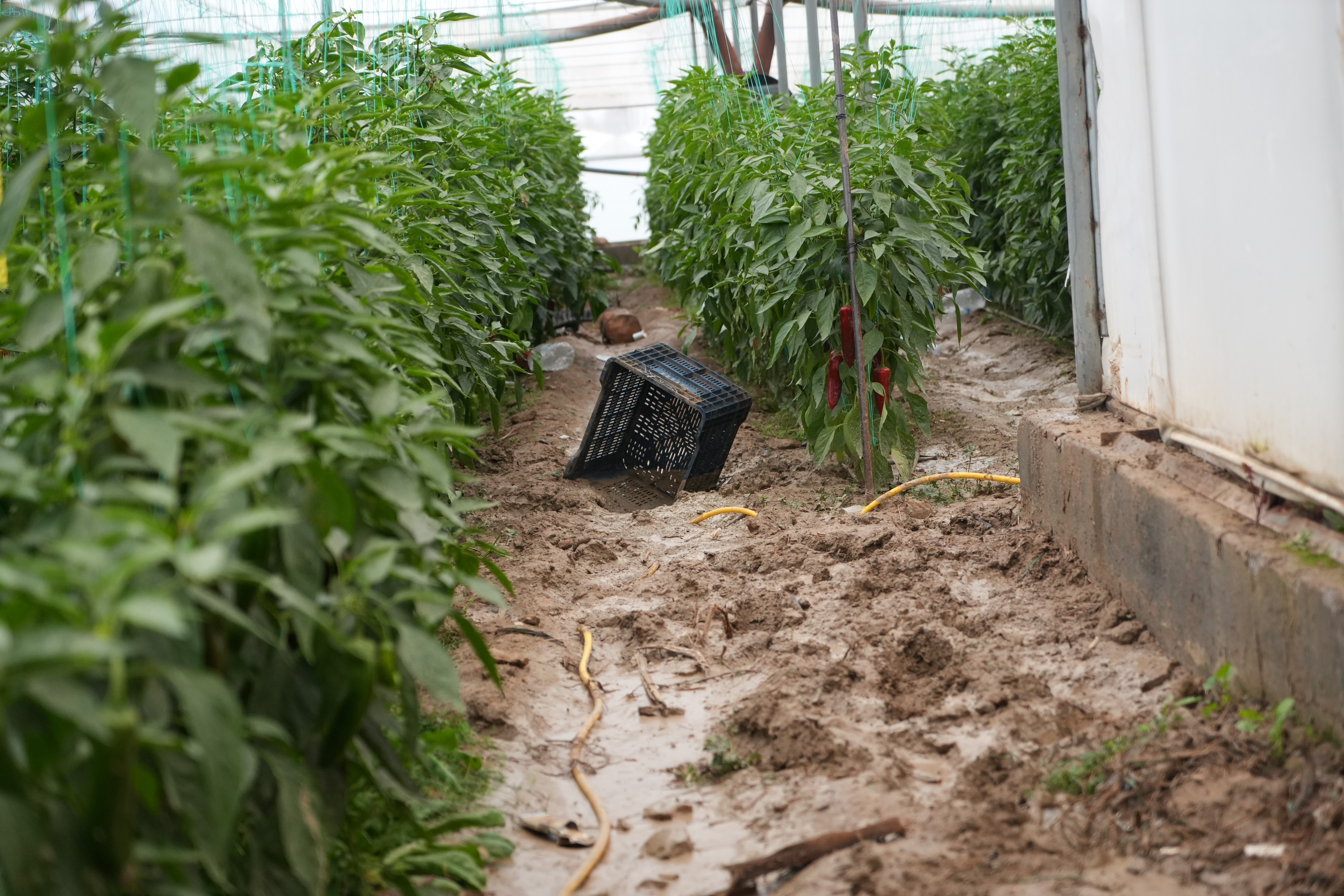 Antalyada Hortum Felaketi Milyonluk Yatlar Havada Ucustu 5