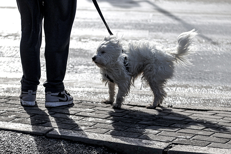 Bursa Kuvvetli Yağış