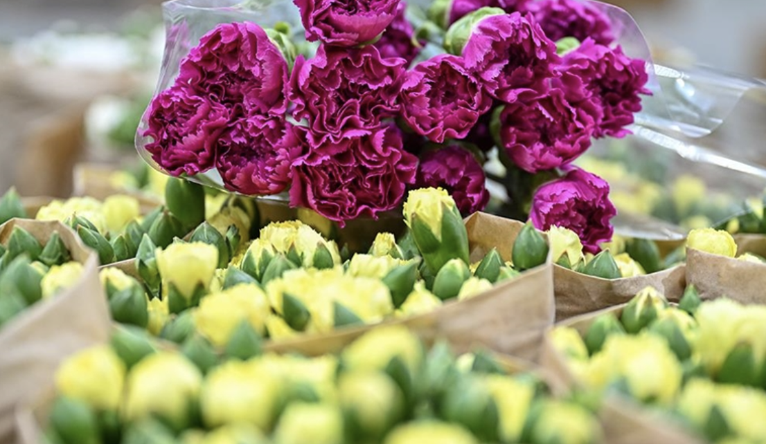 Ç İ Ç E K İ H R A C A T I677824