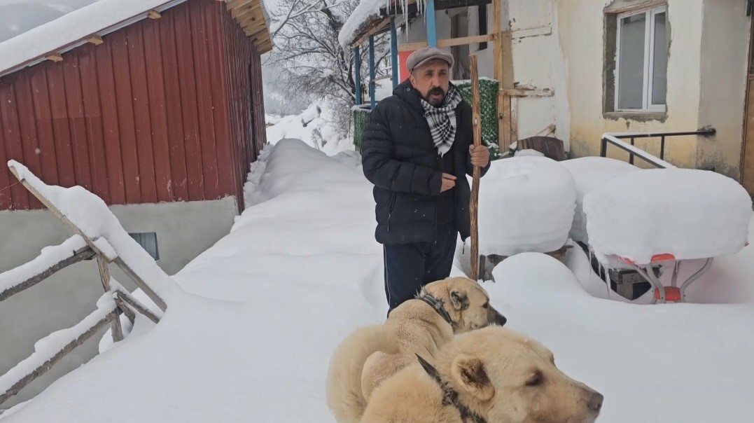 Dogu Buz Kesti Donan Su Sebekeleri Purmuzle Isitilmaya Calisildi 2