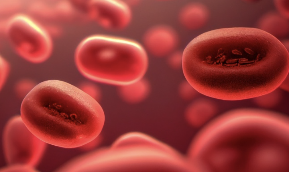 Ekran Resmi 2026 01 01 14.58.51