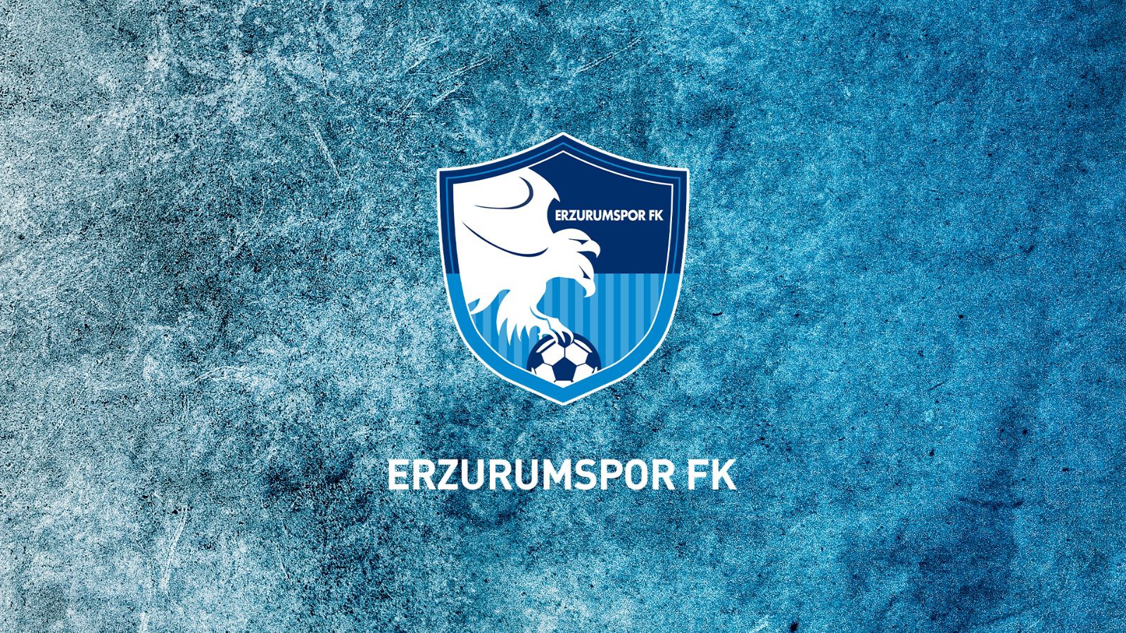 Erzurumspor Fk
