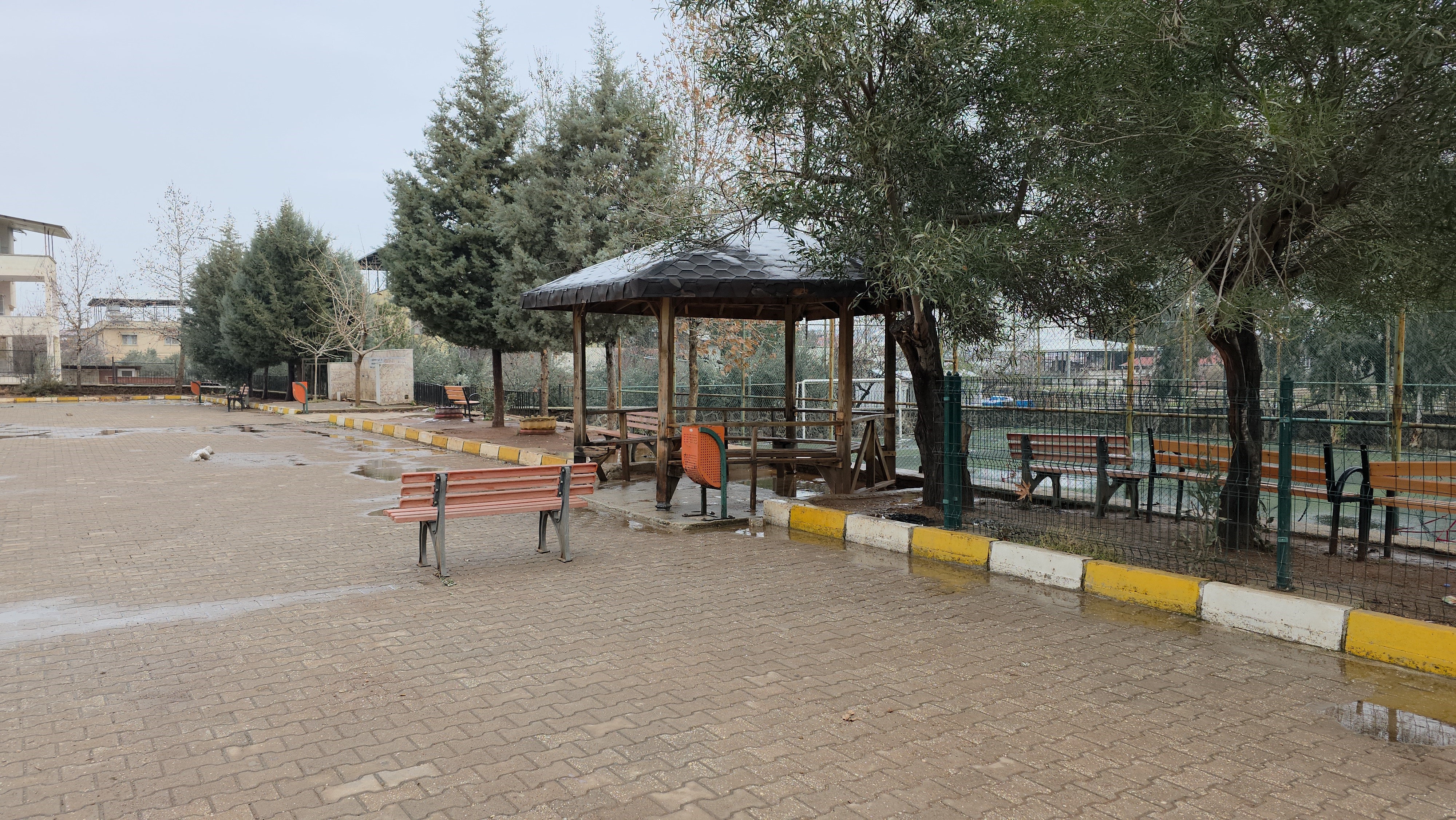 Hatayokuldaceset (4)