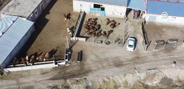 Iğdıraralık678888888 (2)