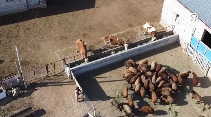 Iğdıraralık678888888 (3)