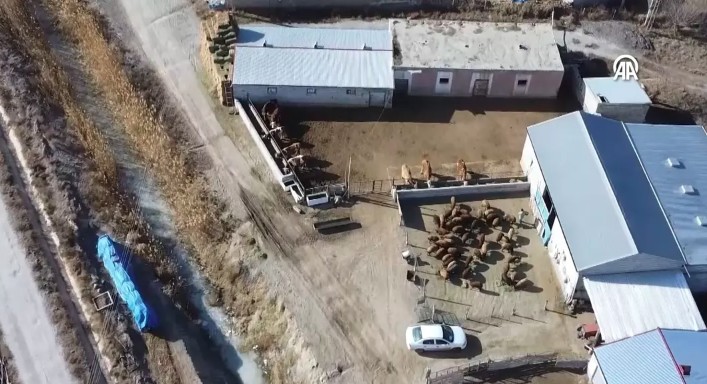 Iğdıraralık678888888 (4)