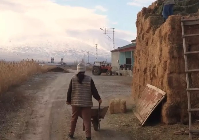 Iğdıraralık678888888 (6)