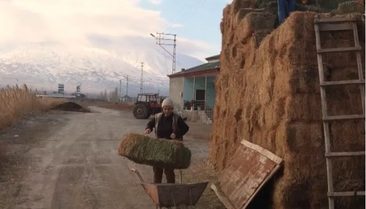 Iğdıraralık678888888 (7)