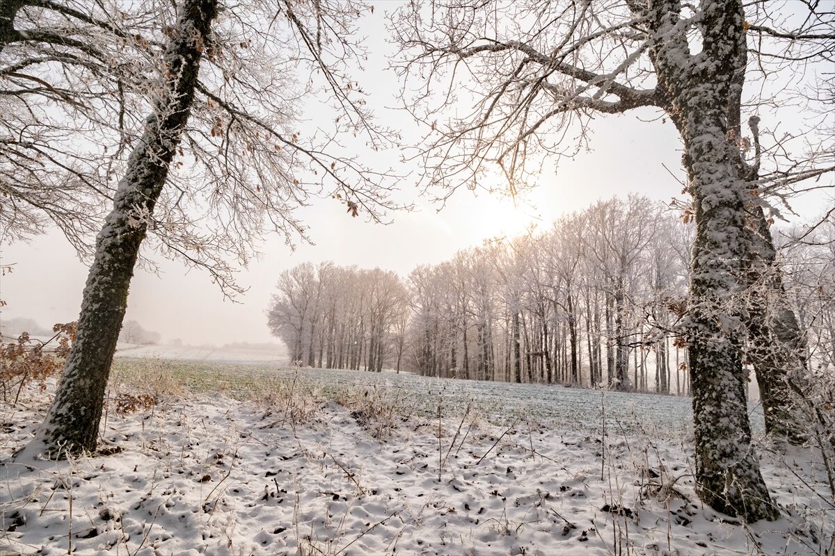 Kırklareli'nde kartpostallık görüntüler: Istranca Ormanları karla kaplandı!