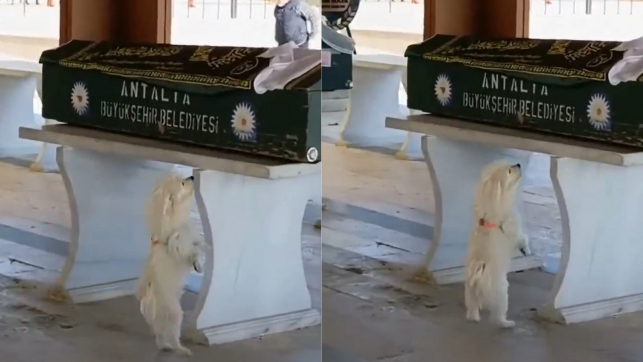 Kanal6Haber Tasarımlar-27