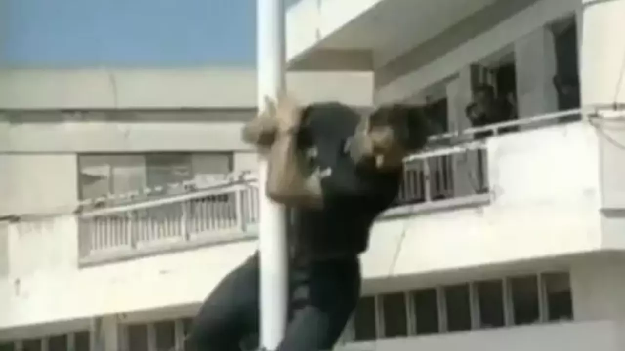 Kibristaki Derinya Sinir Kapisi Acildi 1432897645 6756