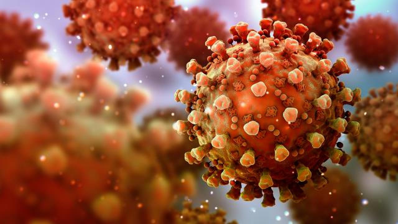 Koronavirus Aa 1588994