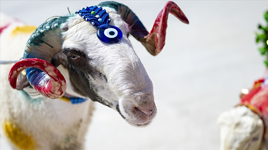 Kurban Bayramı Ne Zaman Aa