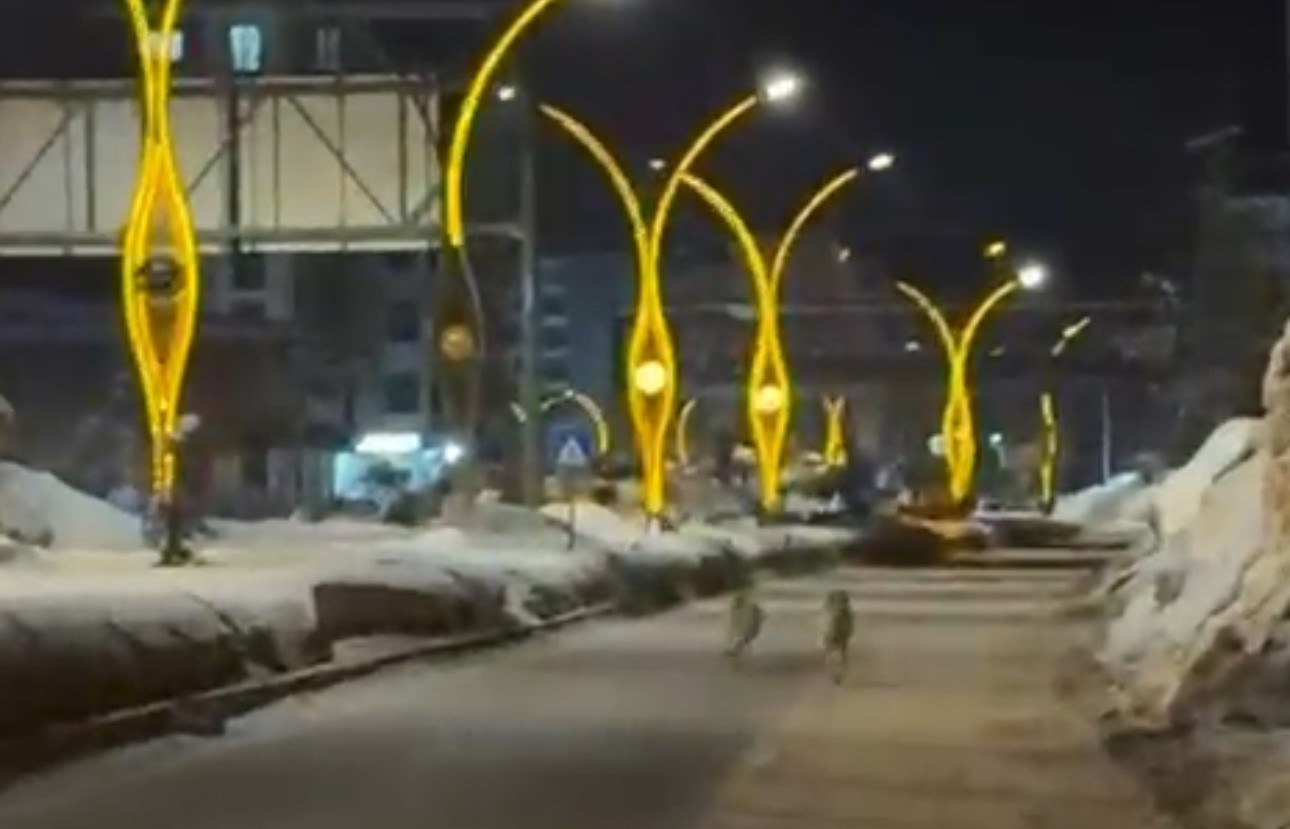 Kurtkışıgeçiremiyor34424