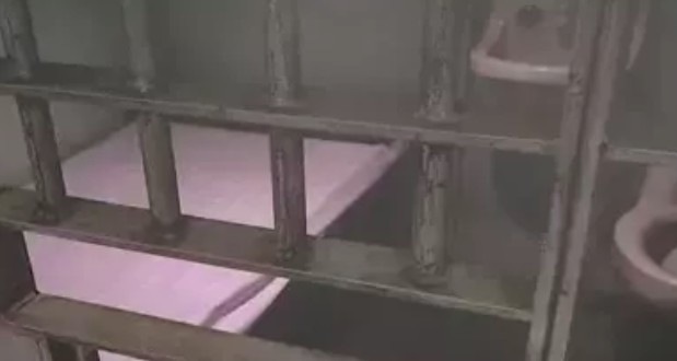 Maduronunkalacağihücre (2)