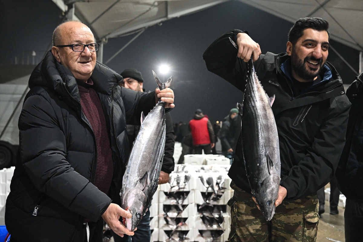 Marmarada 40 Yilin Mucizesi Denizden Torik Fiskirdi Fiyatlar Yariya Indi 1