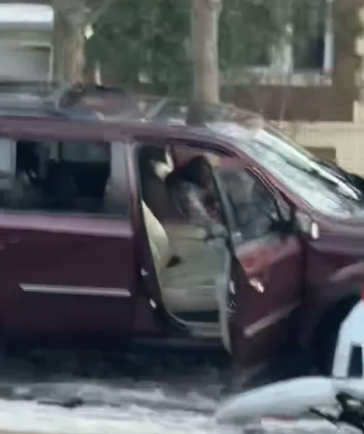 Minnesota Iceajanlar