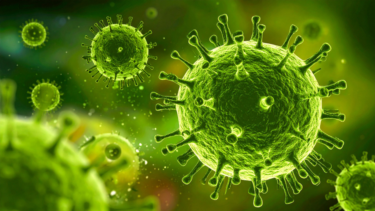 Nipah Virüsü Nedir