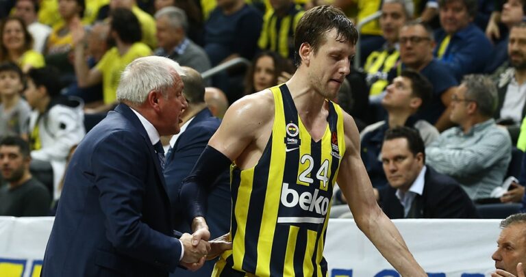 Obra Vesely