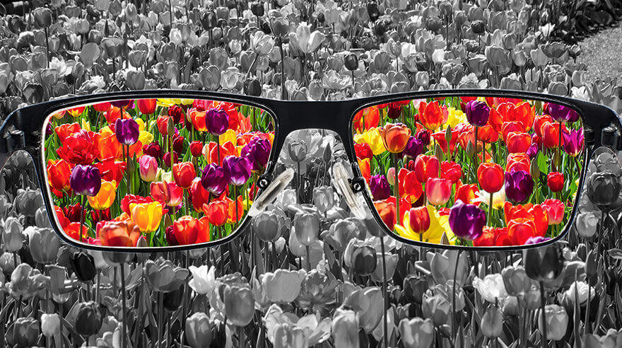 Renk Körlüğü Tsti