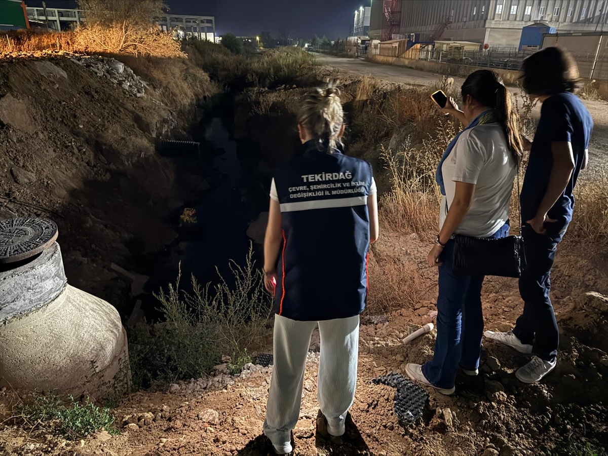 Tekirdagda Zehir Bacalarina Denetim 56 Tesiste 39 Milyonluk Ceza 2