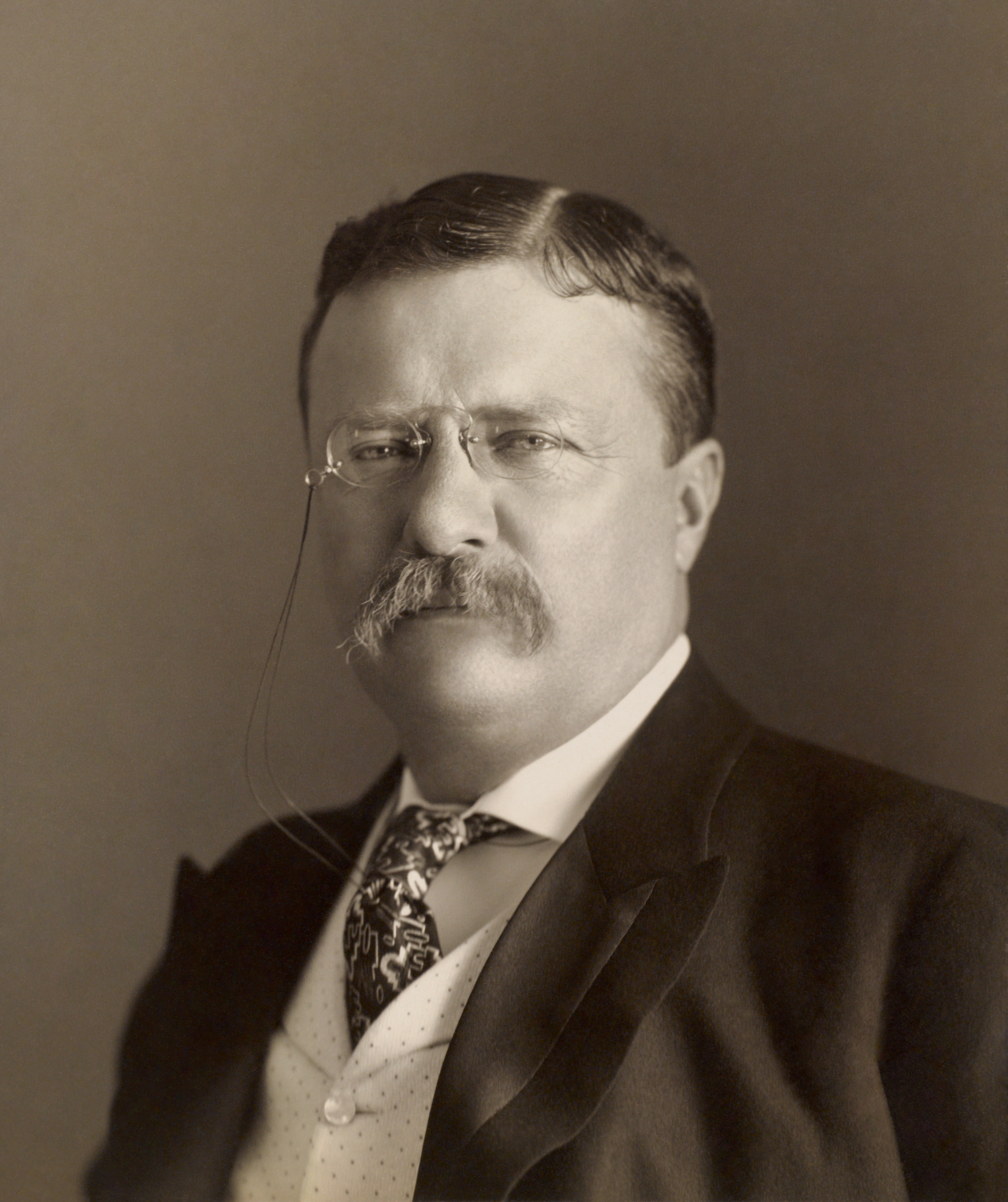 Theodore Roosevelt By The Pach Bros