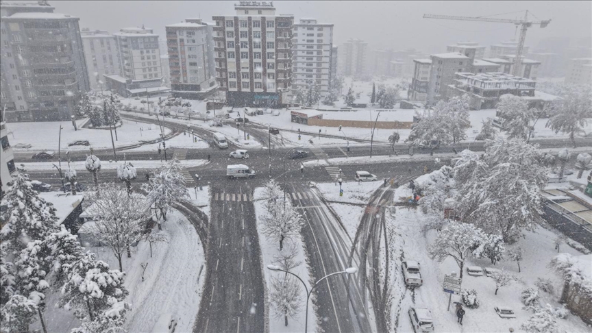 Thumbs B C 1Bd3474005Fe3997874D8F7Efac95442