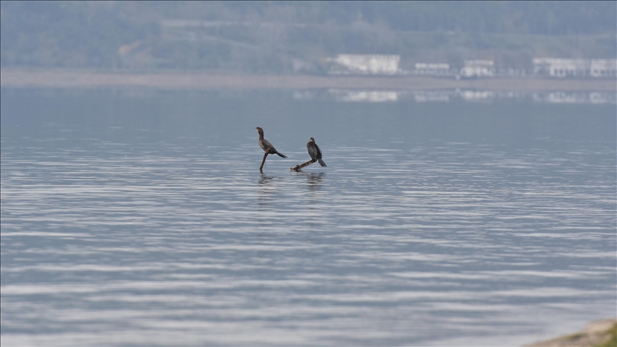 Thumbs B C 54E9F5C141B0C714110Cbfa56538B651