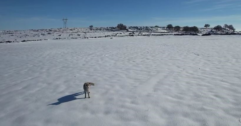 Ti̇lki̇ni̇ndronei̇lei̇mti̇hani78 (2)