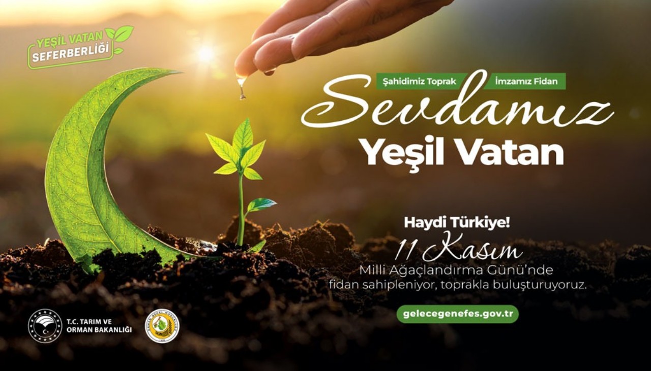 Yeşill-1