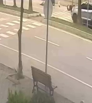 17Aylıkbebeğeçarptı656 (1)