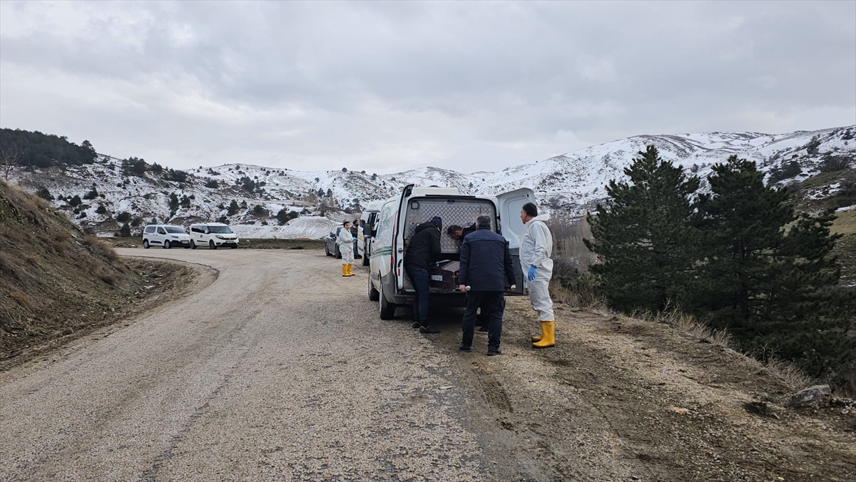 6 Gundur Kayipti Cesedi Bulundu 2